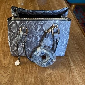 Dune London snakeskin handbag